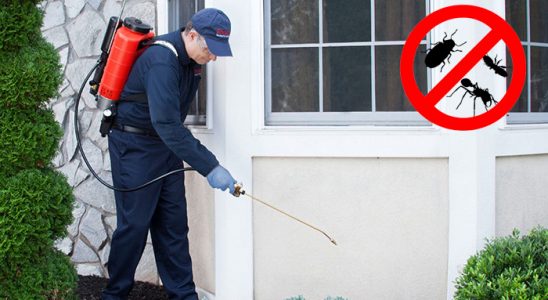 Özkanlar Pire İlaçlama böcek ilaçlama ve haşere kontrolü — ilaclama-tr.com